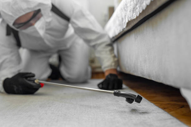 Professional Bed Bug Control technician working in North St. Paul, MN