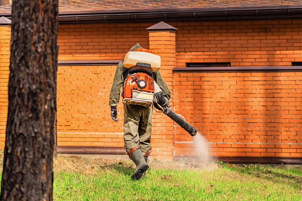 Trusted Bed Bug Control service in North St. Paul, MN - Nex Pest Control